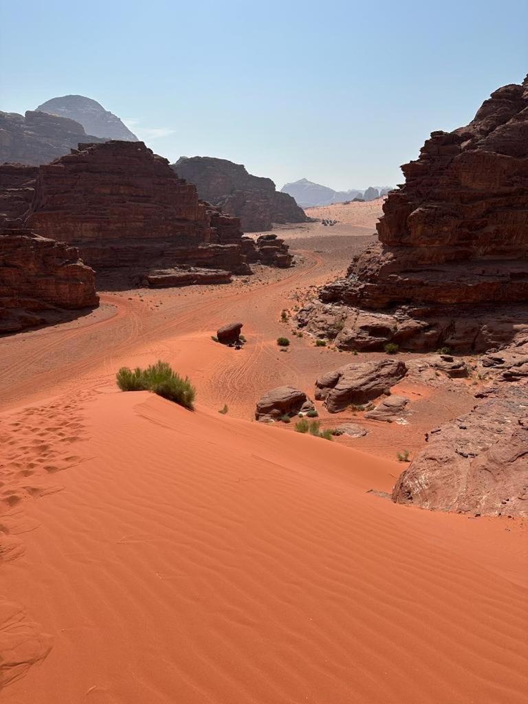 Готель Bedouin Holidays Camp And Jeep Tours Ваді-Рам Екстер'єр фото